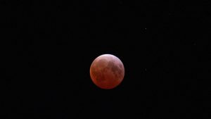 627657a6c032be018c3ec1081cc4b079.jpg